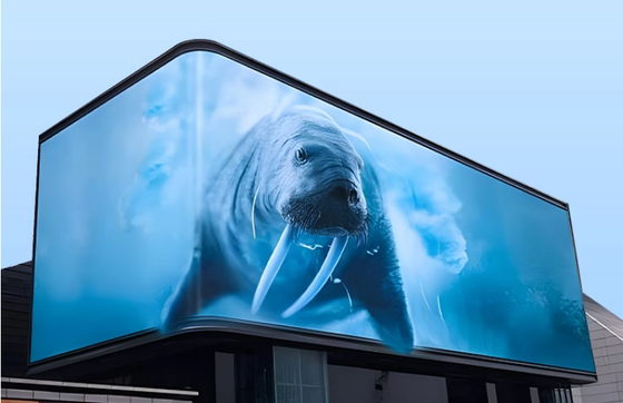 CE Rohs P6 Led Panel Screen Indoor Led Display Πίνακα διαφημίσεων για την πόλη