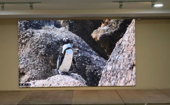 P1.667 Lease RGB LED Monitor Σύστημα NOVA Υψηλός ρυθμός ανανέωσης HD Χωρίς σύρση σκιάς