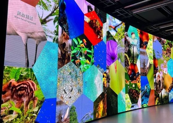 Υψηλής Σταθερότητας P6.67 HD Module LED Display, Εύκολο στην Εγκατάσταση και Συντήρηση υπαίθρια led πινακίδα led πινακίδα