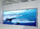 HD Indoor P5 Full Color Led Display ενοικίαση / LED βίντεο τοίχωμα Great Waterproof