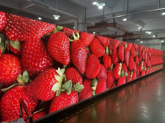 Πλήρης χρωματική οθόνη LED υψηλής ευκρίνειας SMD 3-In-1 ελαφρύ