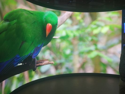 Αλουμινένιο ντουλάπι P5 σταθερή οθόνη LED για προσαρμόσιμη επισκευαστική συντήρηση