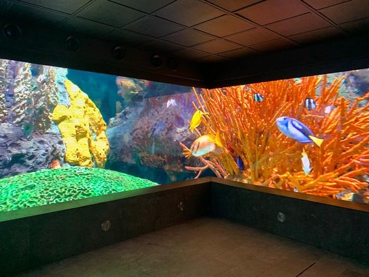 P5 Εξωτερική διαφήμιση LED καμπυλωτή οθόνη SMD2121, φωτεινότητα 2500 Nits