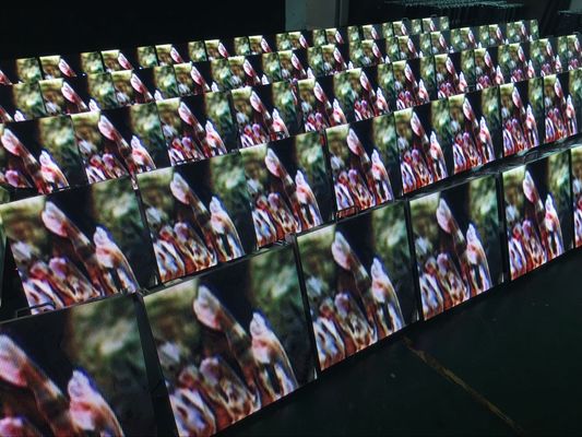 Καλή τιμή Αδιάβροχος τοίχος 6500K-9500K υποβάθρου σκηνικής οθόνης επίδειξης των υπαίθριων οδηγήσεων ενοικίου σε απευθείας σύνδεση