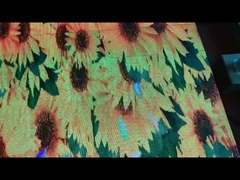 Οθόνες των οδηγήσεων πιστών χορού